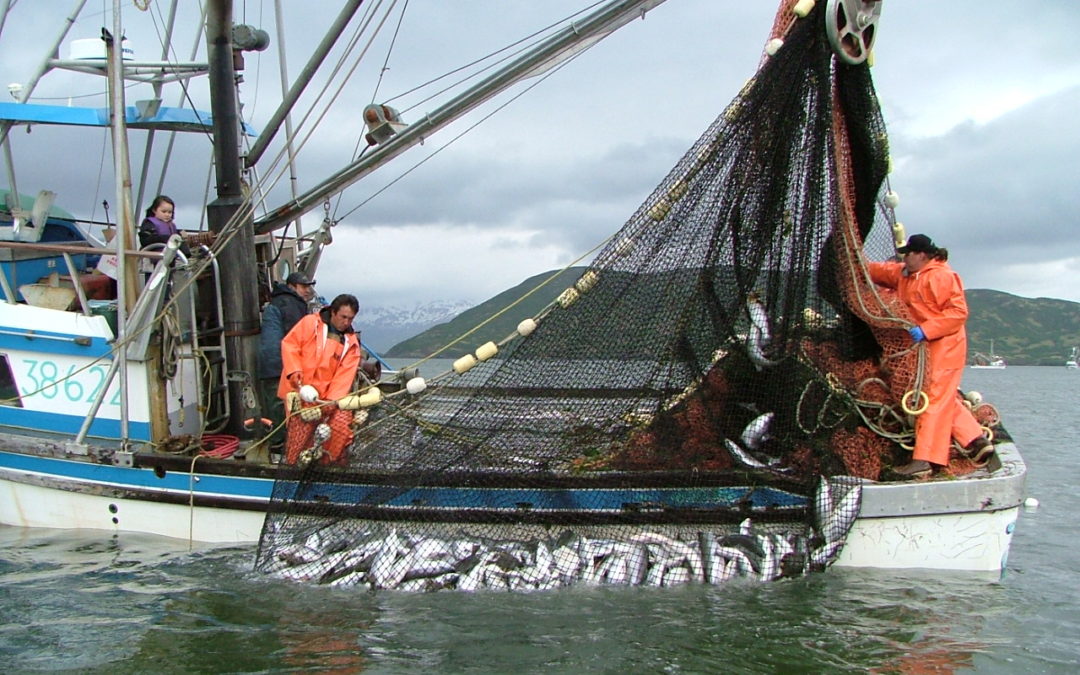 Diversifying fisheries portfolios stabilizes fishing communities