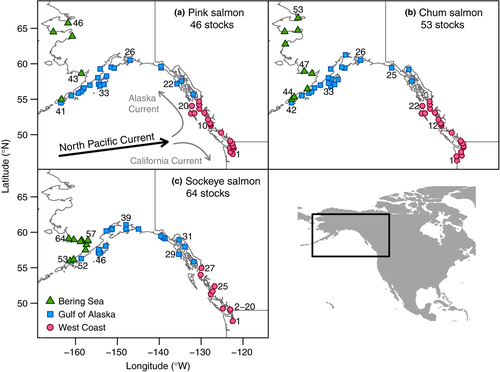 Impacts of the North Pacific Current on salmon productivity