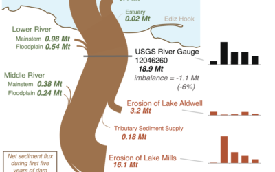 Morphodynamic evolution following sediment release from the world’s largest dam removal
