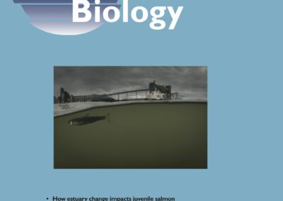 Hodgson et al. 2020: Changing estuaries and impacts on juvenile salmon: a systematic review
